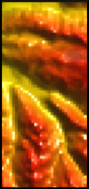 Standard Rendering Standard Rendering